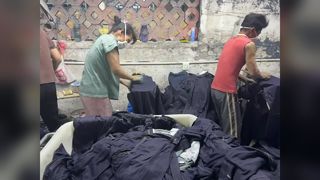 Помойте кошачьи усы вручную